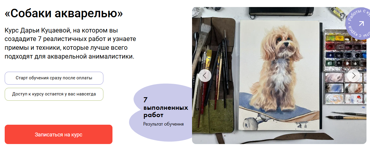 [Художник онлайн] Дарья Куцаева → Собаки акварелью_0.png